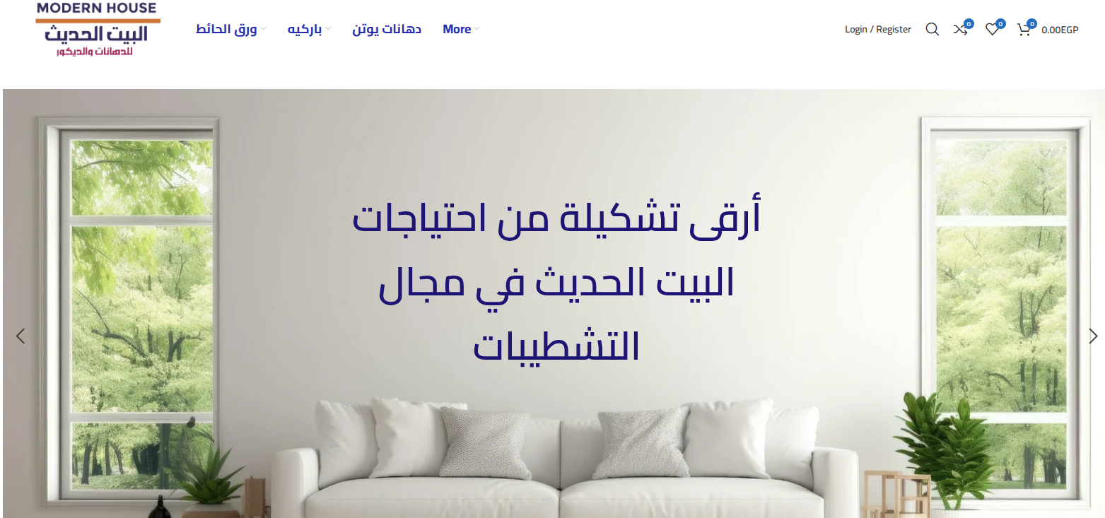 Modern House Decor